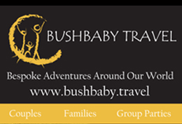 Bushbaby Travel